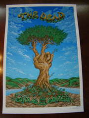 Grateful Dead Allman Brothers Emek 2009